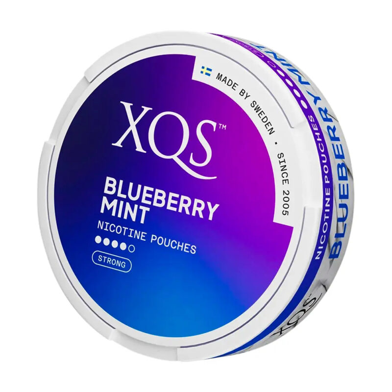 XQS Blueberry Mint Slim